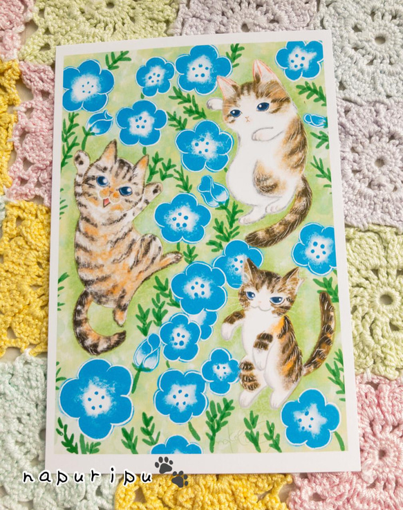 うちの猫達とネモフィラ　ポストカード2枚組 5枚目の画像