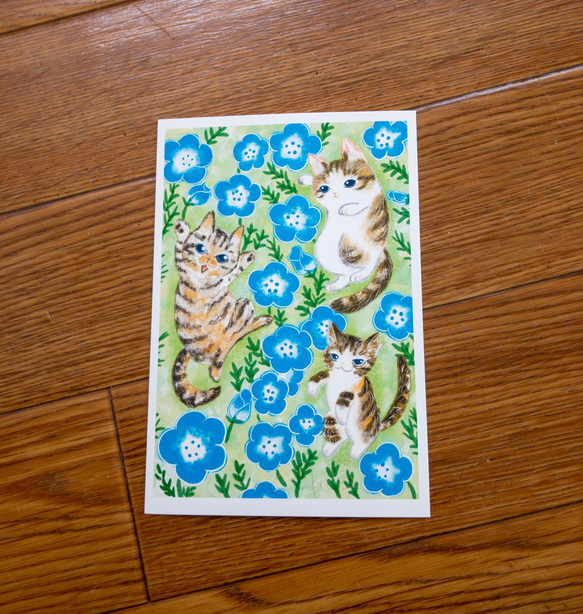 うちの猫達とネモフィラ　ポストカード2枚組 2枚目の画像