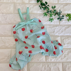 犬服 オーダー 『フリル付きドッドのロンパース』春夏 わんこ服 つなぎ