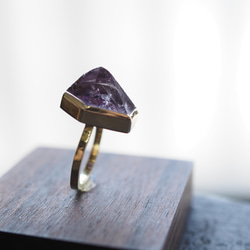 goethite in amethyst brass ring (nirabana) 7枚目の画像