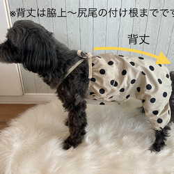 犬服　オーダー　『フリル付きドッドのロンパース』春夏　わんこ服　つなぎ　オールインワン　かぼちゃパンツ　ひんやり　クール 4枚目の画像