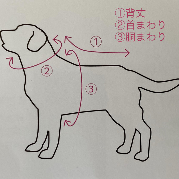 犬服　オーダー　『手書き風ボーダータンクトップ/ネイビー』春夏　ボーダー　マリン　ネイビー　ナチュラル 7枚目の画像