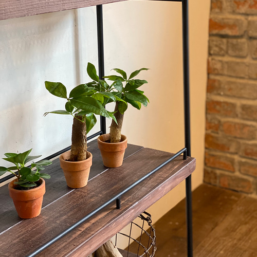 リリ犬様専用】シェルフ 本棚 観葉植物 幅120cm 奥行き30cm