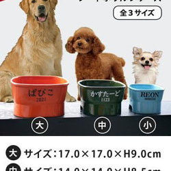 【送料無料】名入れ 早食い防止 スタンプ 高台フードボウル 【大】 pet120 2枚目の画像