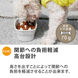 【送料無料】名入れ ゆるかわ 早食い防止 高台フードボウル 【小】 pet121 7枚目の画像