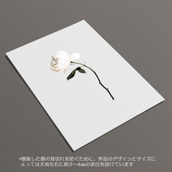 ☆インテリアフォトポスター -PURE-【204】 6枚目の画像