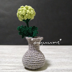 ちっさなお花のある生活* 13枚目の画像