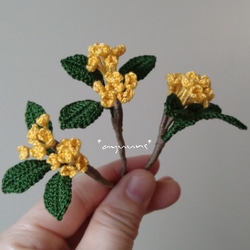 ちっさなお花のある生活* 2枚目の画像