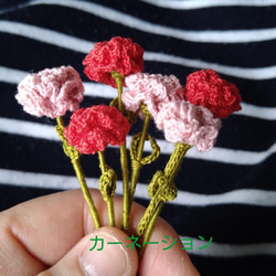 ちっさなお花のある生活* 5枚目の画像