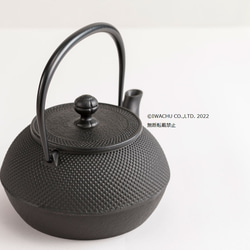 新品、共箱、タグ付　南部名工岩鋳造 ２３型ひょうたんアラレ　南部鉄瓶　南部鉄器 新品、共箱、タグ付 南部名工岩鋳造 23型ひょうたんアラレ 南部鉄瓶