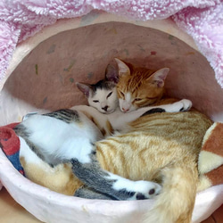 和紙でできた猫ハウス　チョビータ （オーダー製作） 5枚目の画像