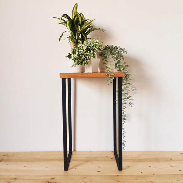 無垢材とアイアンのシェルフ / LBR / Lサイズ 32cm×24cm / リビング 玄関  無垢材 植物置き 1枚目の画像