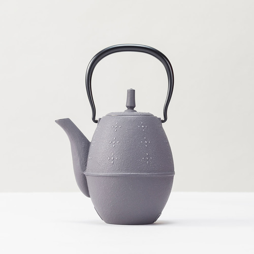 公式】岩鋳 南部鉄器 急須 らいす（銀／グレー） ポット・急須 IWACHU