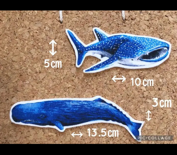 ❁︎単品売り❁︎ 海の生き物　お魚　サメ　イルカ　アイロンワッペン　布ワッペン　アップリケ　ギフトラッピング 無料 3枚目の画像