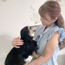 愛犬オーダー 羊毛フェルト製作♡世界でたった一つ♡ずっとそばに