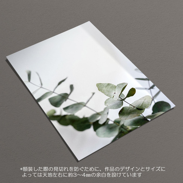 ☆インテリアフォトポスター -eucalyptus leaf-【212】 6枚目の画像