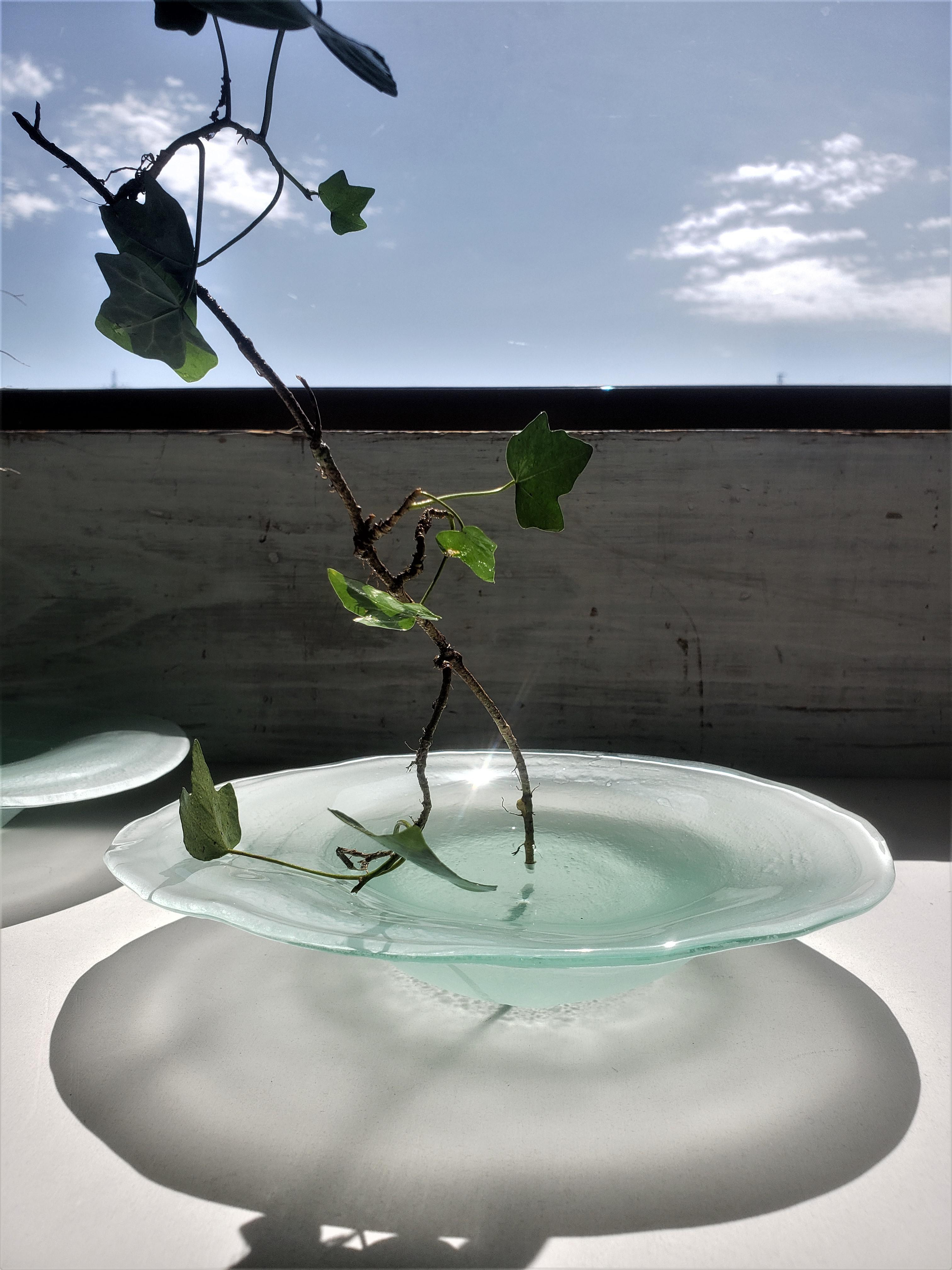 水たまり 大　ガラスの一輪挿し　花器