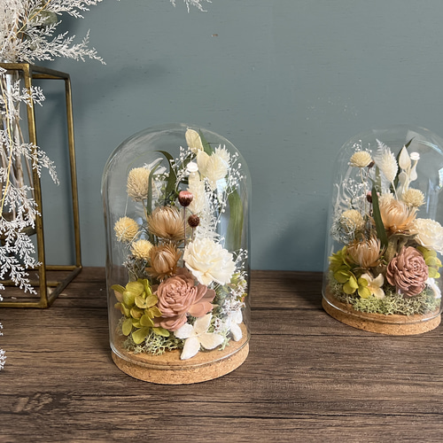 ガラスドーム　メダイヨン　アンティーク　 お値引き中！ ガラスドームメダイヨンアンティーク お値引き中！