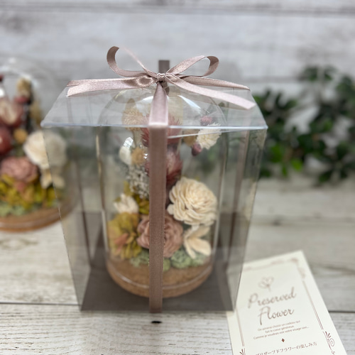 クリアガラスドーム コルク蓋 ドライフラワー ナチュラル アンティーク