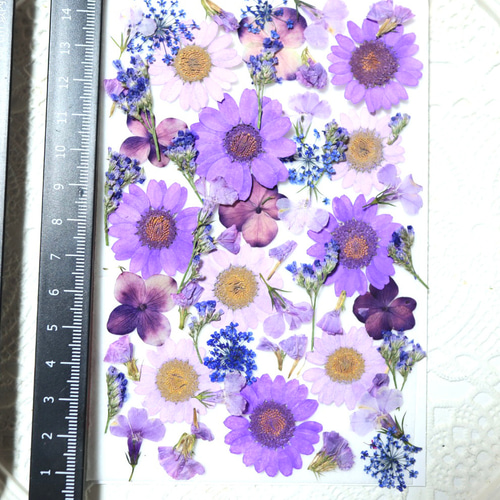 No.15 紫小花のふかふか花びらスタイ♡ 楽天市場】【 アクリル 花びら Lサイズ 20ヶ パープル j4 】 日本製