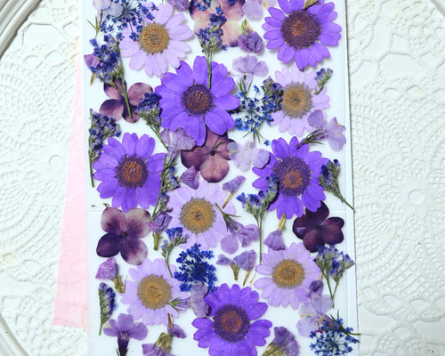 押し花　美品 c96f18710e499bbd8e67b608eafbc7