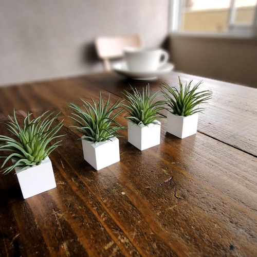 多肉植物のアロマストーンキューブ □ Sサイズ □ ミニ