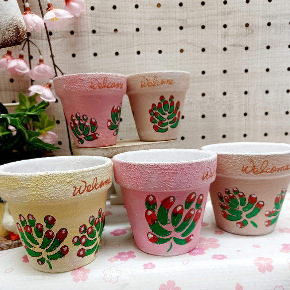 乙女心no2♥リメイク鉢♥5個セット 多肉植物 taniku－maruko