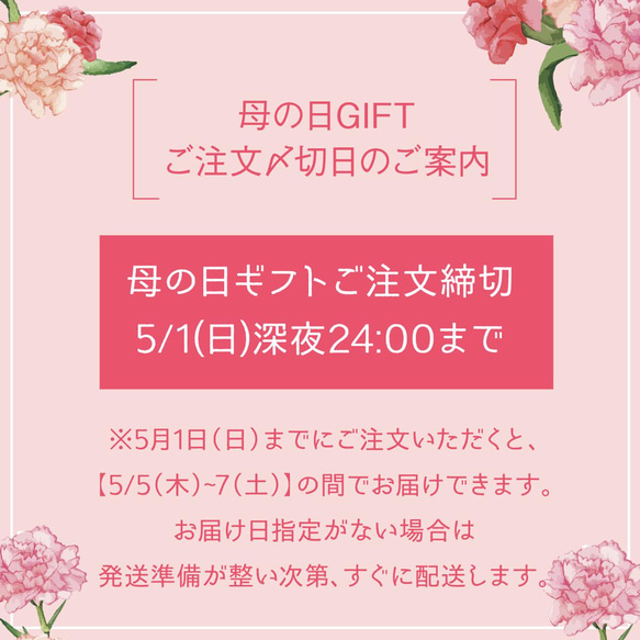 ★送料込『パスタソース5種☆母の日ギフト』 5,000円セット 4枚目の画像