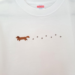 お散歩ダックスフンド 刺繍 Tシャツ Sサイズ 2枚目の画像