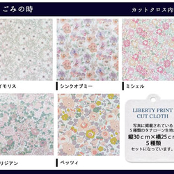 リバティ【カットクロス】「なごみの時」ピンク・オレンジ系　5種セット　生地　はぎれ　布　綿　LIBERTY 3枚目の画像