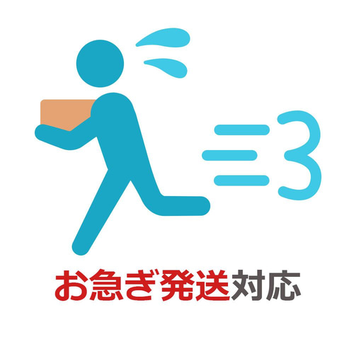 サントップアウトレット】暗記カードと相性抜群！中学受験理科