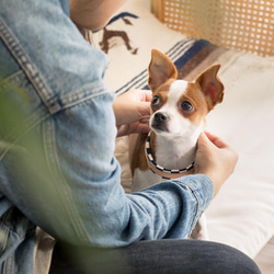 【鼻緒】犬 首輪 ★麻葉と市松の和柄★柔らかい風合いの首輪でワンちゃんの負担も軽減！× HaNaRaLa 9枚目の画像