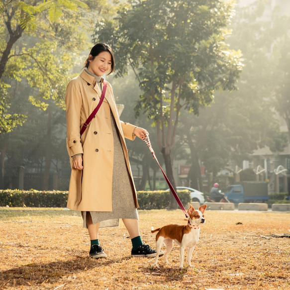 【鼻緒】犬 首輪 ★麻葉と市松の和柄★柔らかい風合いの首輪でワンちゃんの負担も軽減！× HaNaRaLa 11枚目の画像