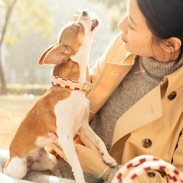 【鼻緒】犬 首輪 ★麻葉と市松の和柄★柔らかい風合いの首輪でワンちゃんの負担も軽減！× HaNaRaLa 10枚目の画像