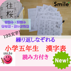 高年級可重複書寫、擦寫的漢字圖表套裝 五、六年級 筆順讀法及使用說明 漢字考試六級 漢字考試五級學習資料 第3張的照片