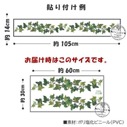 175 壁ステッカー【送料込】ウォールステッカー アイビー 枝垂れ しだれ キヅタ 蔦 淡い ユーカリ 樹木 やさしい 4枚目の画像