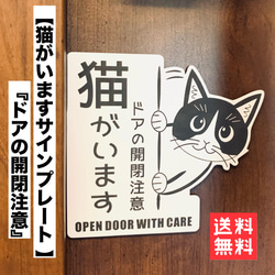 Cat Eagerly Awaits Owner's Return from Tokyo - YouTube