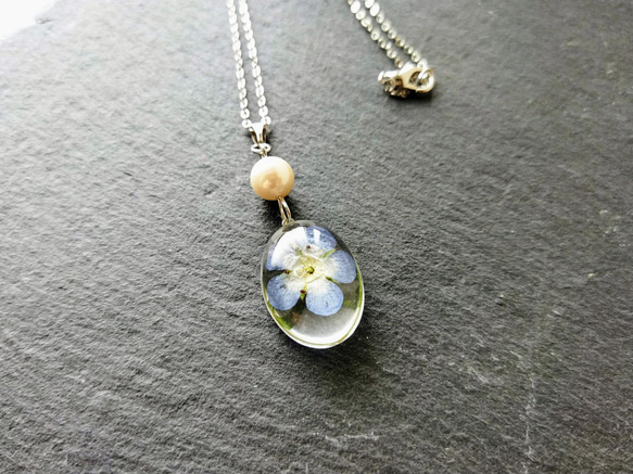 ネモフィラパールネックレス☆再販 / ドライフラワー / 押し花