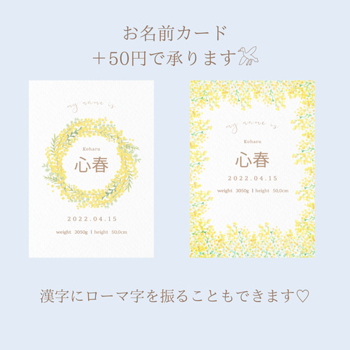 ミモザ マンスリーカード 月齢カード はがきサイズ L判可 命名書 雑貨