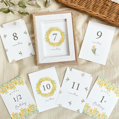 ミモザ マンスリーカード 月齢カード はがきサイズ L判可 命名書 雑貨