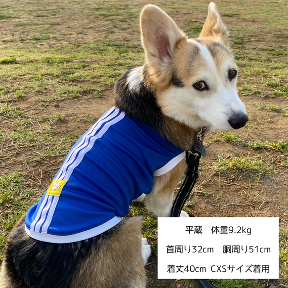 中型犬～大型犬服 泥除けタンクトップ　メッシュ 撥水 吸水速乾 6枚目の画像