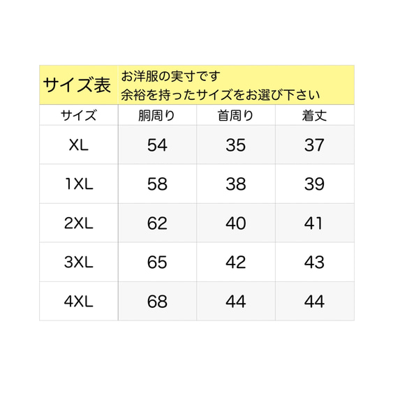  第10張的照片