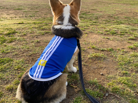 中型犬～大型犬服 泥除けタンクトップ　メッシュ 撥水 吸水速乾 7枚目の画像