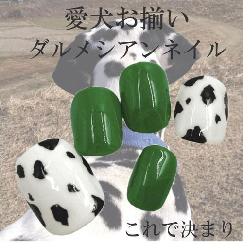 犬のダルメシアン ベリーショートネイルチップ 緑色 ワンカラー 白黒  