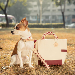 【 愛犬お散歩 】 鼻緒のトートバッグ / S ★麻葉と市松の和柄★持ち手を「鼻緒」にしているので！× HaNaRaLa 9枚目の画像