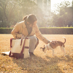 【 愛犬お散歩旅行】鼻緒のトートバッグ/L ★麻葉と市松の和柄★ソフトな握り心地です。普段使い！× HaNaRaLa 11枚目の画像