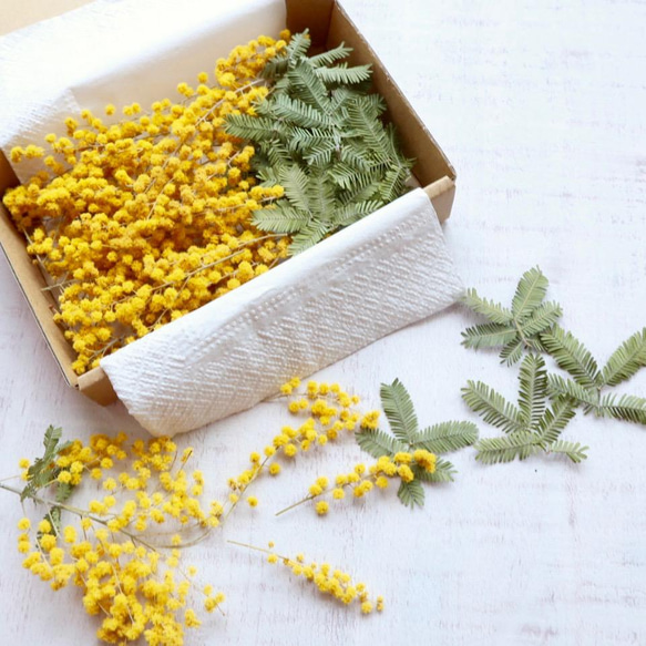 2026年新物！【ハンドメイド花材】ミモザの花と葉のセット その他素材
