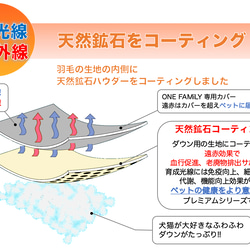 ペットクッション　Lサイズ　羽毛クッション　敷きふとん構造使用　天然鉱石プリント生地 11枚目の画像