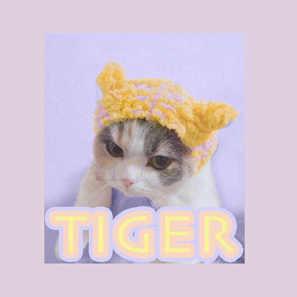 【送料無料】くじら座のみら / Mira Tiger Tshirt / 猫グッズ　 2枚目の画像