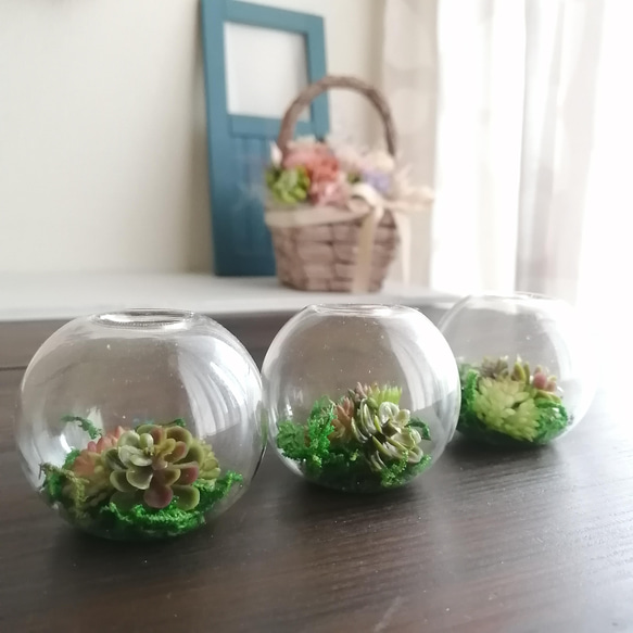 3つセット♪】フェイク多肉ガラスドーム寄植え(小) 極小 ミニ 小さい